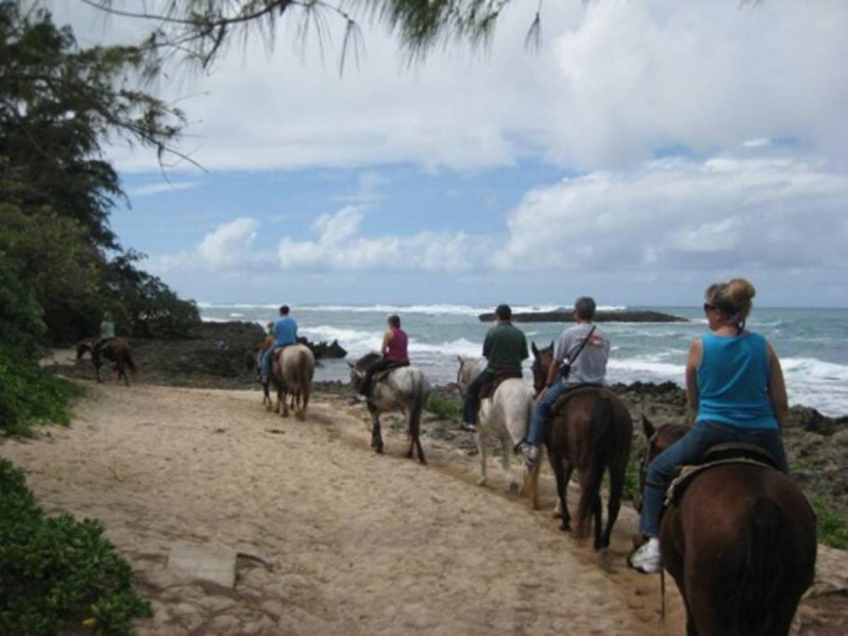 Pristine Location In Turtle Bay Near Beach Villa Kahuku Exterior photo